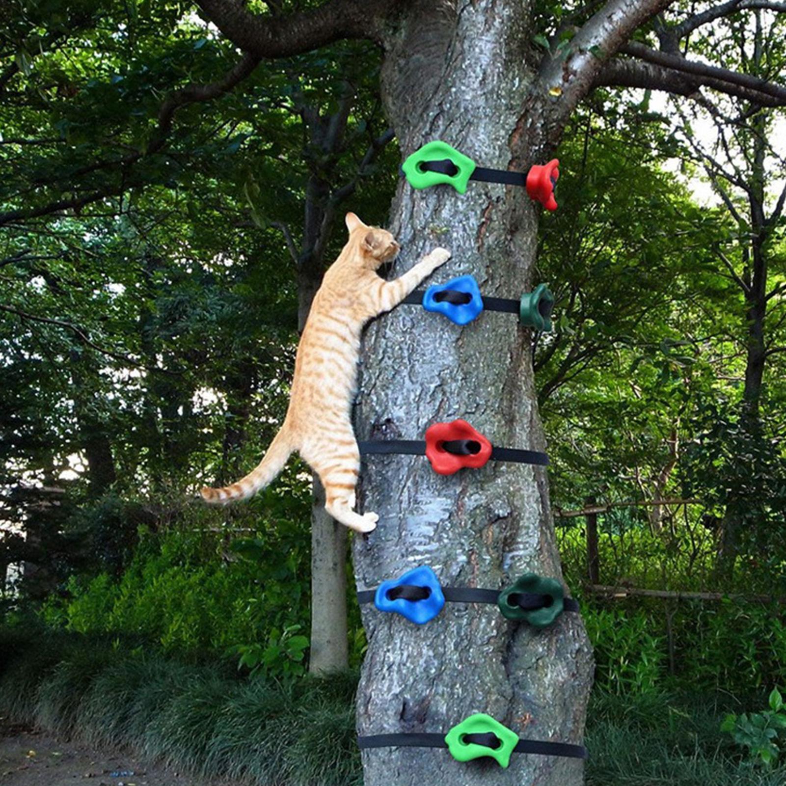 Peralatan Panjat Tebing Luar R - Kids Outdoor Obstacle Course Equipment ulasan dan harga